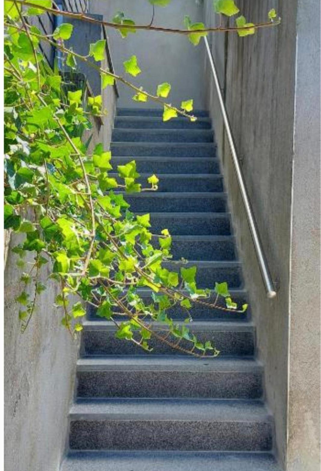 Nazareth Logement Un Magnifique Logement De Vacances Bastogne Exteriér fotografie